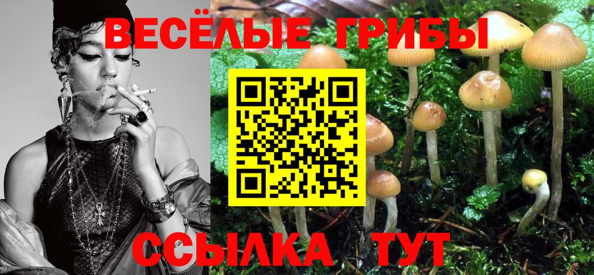Псилоцибиновые грибы Magic Shrooms  Вход с VPN  Галлюциногенные грибы Psilocybine cubensis  Махачкала 