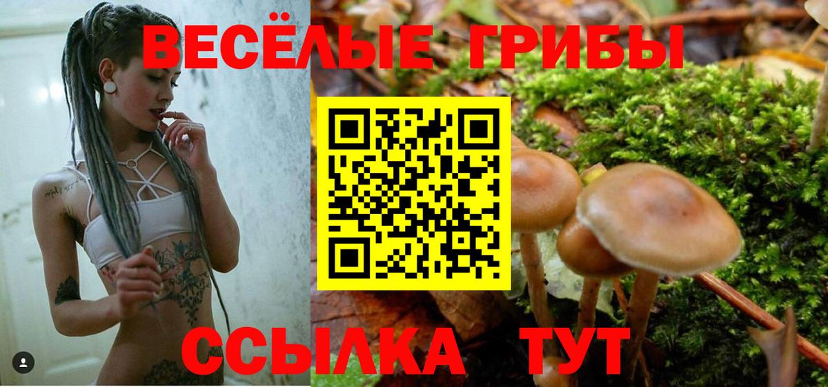 Галлюциногенные грибы мицелий Махачкала